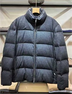 Мужской пуховик ZEGNA